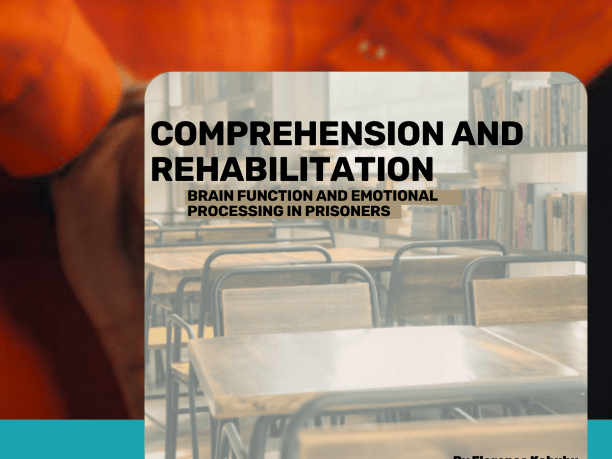 Comprehension and Rehabilitation